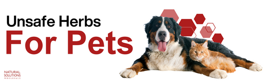 Unsafe Herbs for Pets
