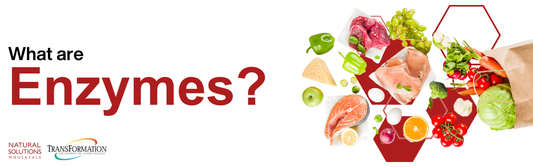 What are Enzymes?