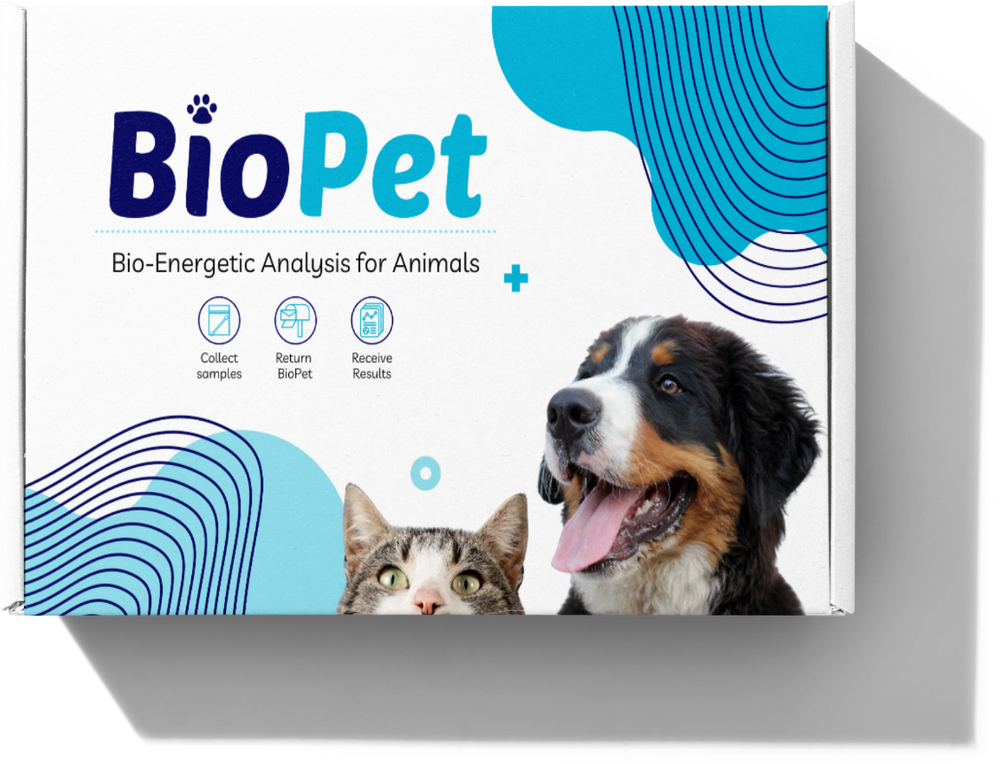 Sample Kits – NS Wholesale